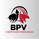 Criptoinversores_BPV